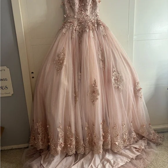 Elegant Pink Embellished Gowns - Picture 2 of 5